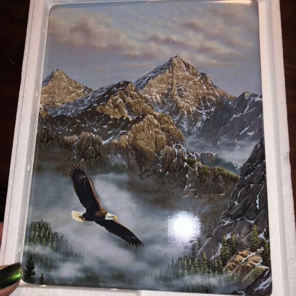 Bradford Exchange Eagle Plate 639A collectible collectors edition Nature birds - Picture 2 of 4
